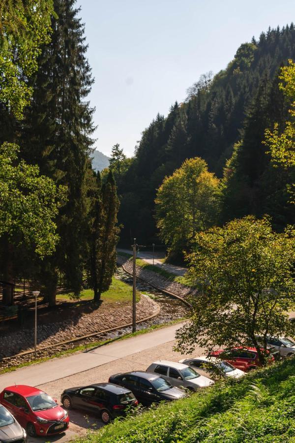 Ferienwohnung Anin Dvor Sekovici Exterior foto