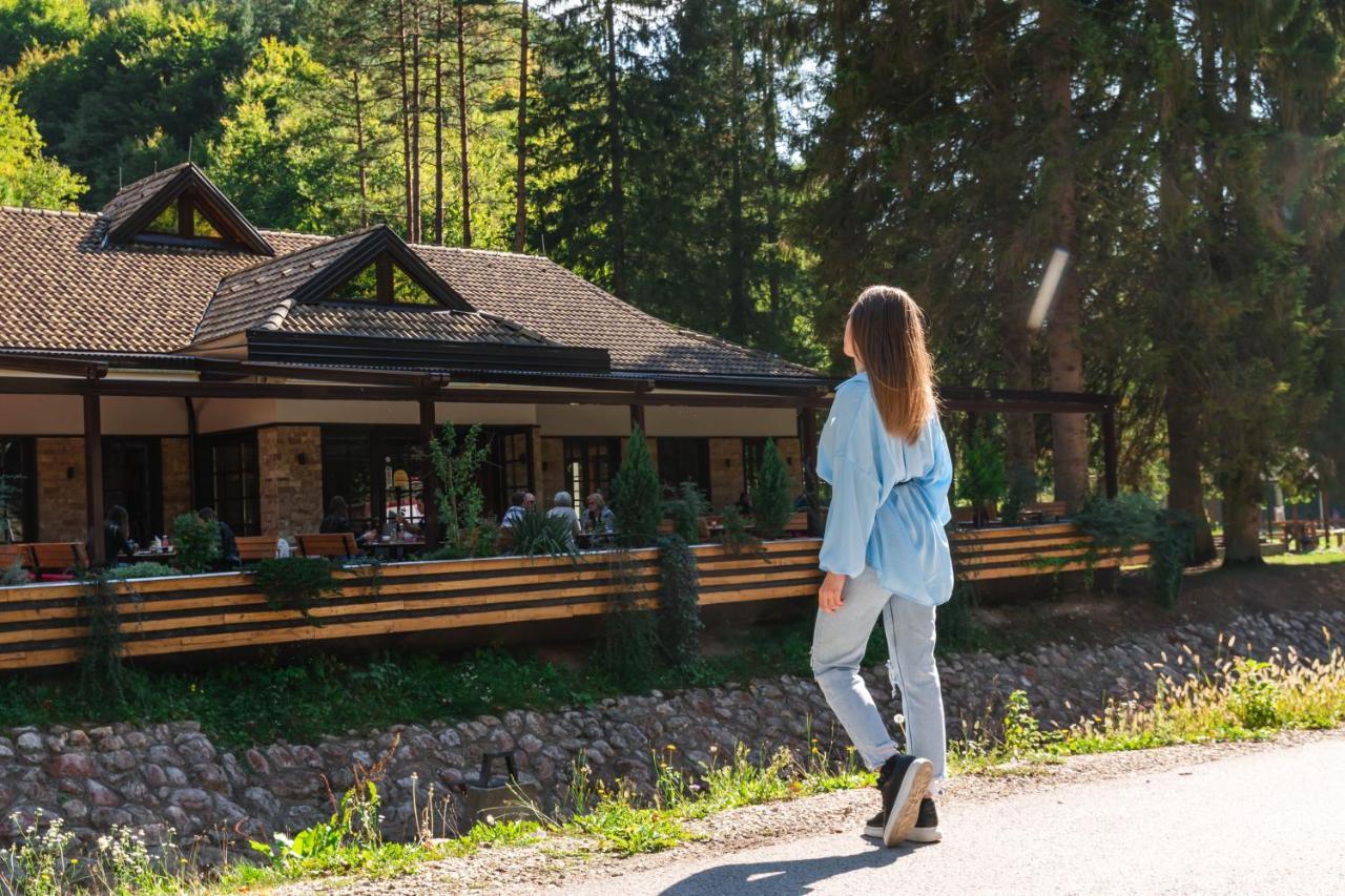 Ferienwohnung Anin Dvor Sekovici Exterior foto